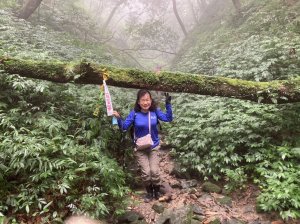 《迷霧森林的烏來美鹿山南峰→拔刀爾山→高腰山→美鹿山→美鹿山南峰》