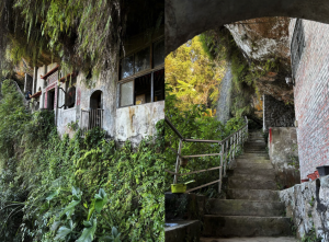 野趣 Trail Runner｜#4 越過銀河去跑山：在茶路與仙氣之間的恢復跑