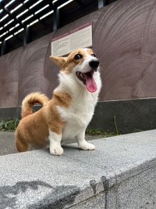 奶油
奶油的頭像