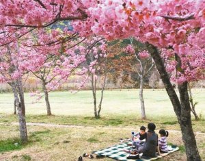 【新聞】春遊花開 體驗大自然的魔力