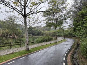 [樟之細路_第一大段RSA01] 2026_0329 三坑子自行車道