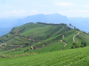 瑞太古道走大風埕觀日峰