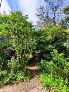 石碇鱷魚島-草湳二格山