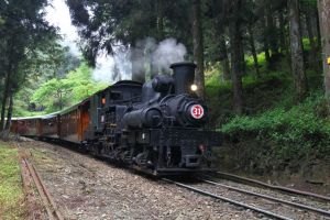 【新聞】阿里山森林鐵路105歲 平安夜加開林業文化列