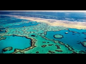【世界走透透】自然奇景的幕後科學－大堡礁