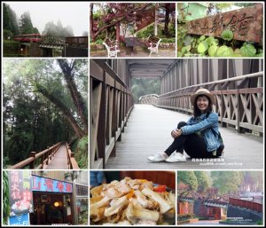 來去阿里山漫步杉林間｜青山別館住一晚｜山賓餐廳石頭火鍋