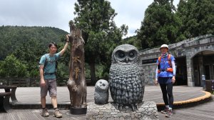 鐵杉林自然步道登山健行趣