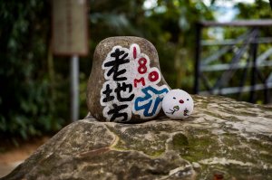 劍潭山小百岳｜老地方觀機平台