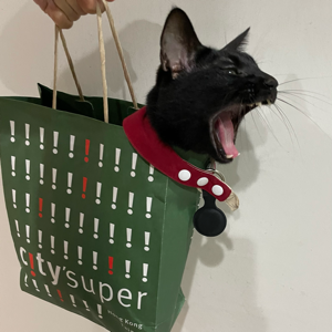 Amber Chang的頭像