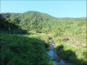 【新北市】九芎根山登山步道