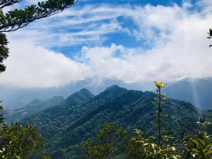 【新竹尖石鄉】北得拉曼神木群、內鳥嘴山