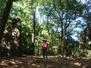 菁桐古道、耳空龜山