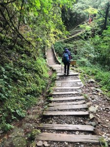 原鄉之路特富野