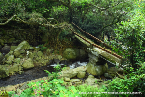 ​有些風景剛剛好就好 : 「大屯溪古道」的起點 : 2025 D0605 三芝「三板橋」