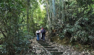 後尖山