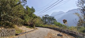 白冷山步道-2026/03/15