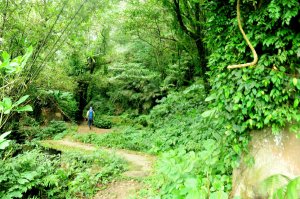 【桃園】雙石縱走：石門山、石牛山P形走