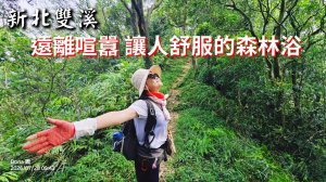 平湖西步道.內平林山.大坑山.平湖東步道O走全紀錄