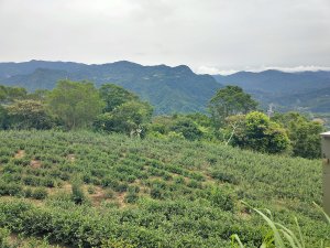 淡蘭古道南路一石碇老街至坪林水柳腳