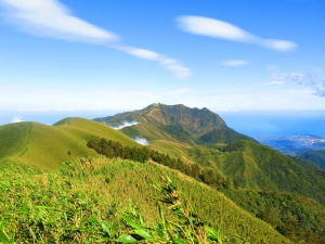 在郊山遇見百岳箭竹草原稜線~小觀音山群峰