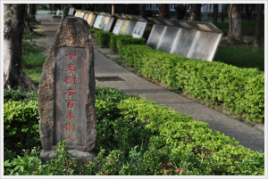疾風足球道（輔仁大學－明志路二段)