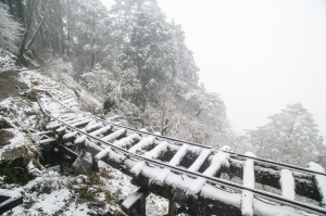 【攝野紀】雪中見晴