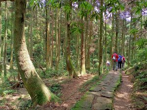 【臺北大縱走 3】擎天崗→石梯嶺→頂山→風櫃口（2-2 頂山-石梯嶺步道→風櫃嘴涼亭）