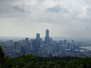 台灣小百岳第77座高雄鼓山-壽山和壽山動物園