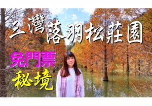 落羽松莊園[三灣秘境]/超美超好拍/健行休閒好去處