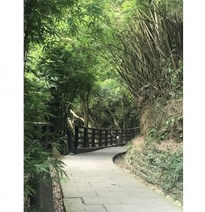 【我淨山我驕傲】楓櫃斗湖步道