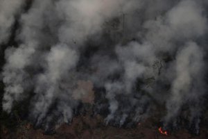 【新聞】亞馬遜雨林野火燒不盡 復原可能耗時幾百年