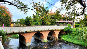 桃園茶山步道，通學古道，鎮南橋，鴉片菸塘，八角塘，安平鎮庄水岸公園，埔心故事館歷史建築