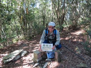 櫻花公園→藤枝山來回