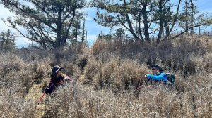 3/23-24兩天一夜的郡大山+獵人古道連走瓊山-上