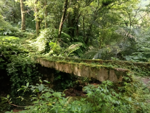 平溪區善覺寺古道(步道)去回
