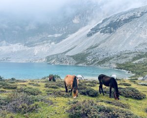 川藏33天深度之旅💙#稻城亞丁-來古冰川