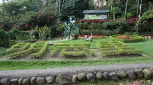 Ω走頂泰山巖、崎頭古道、南亞大草原、瓊仔湖與尖凍山步道、辭修公園