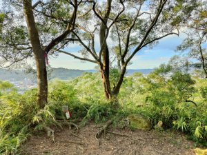 【新竹縣竹東鎮】員崠子山，一座令人驚艷的郊山