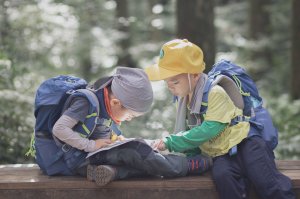 山林中，孩子們的自然課-東眼山夏日生態之旅