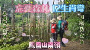 【忘憂森林、鳳凰山南嶺、天文台、12生肖彎】走進雲霧中的倒影森林｜忘憂之路，靜靜療癒你我
