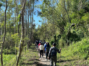 350高地、阿凰臘森林步道