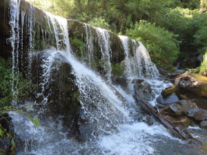 加.太.縱走～ 四季林道 上 加羅湖
