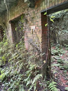 雙溪后番子坑古道與武山坑輕便路探究