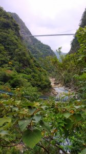 錐麓古道算高山嗎?