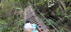 獅仔頭山登山步道-2023/08/05