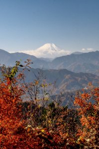 高尾山紅葉狩