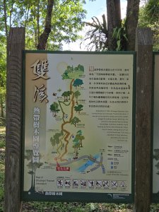 雙溪樹木園>九芎山>九茶山來回