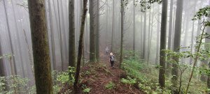 2025/06/07-鳥嘴山步道