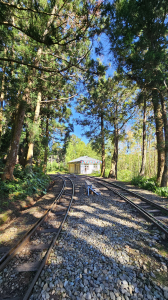 【絕版路線請勿跟進】十字路走得恩亞納-大O繞13.4K