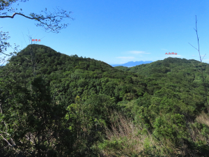 獅仔頭山 走 粽串尖